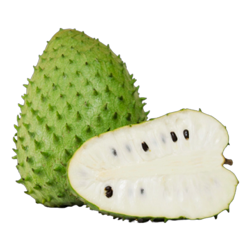 GUANABANA X LIBRA